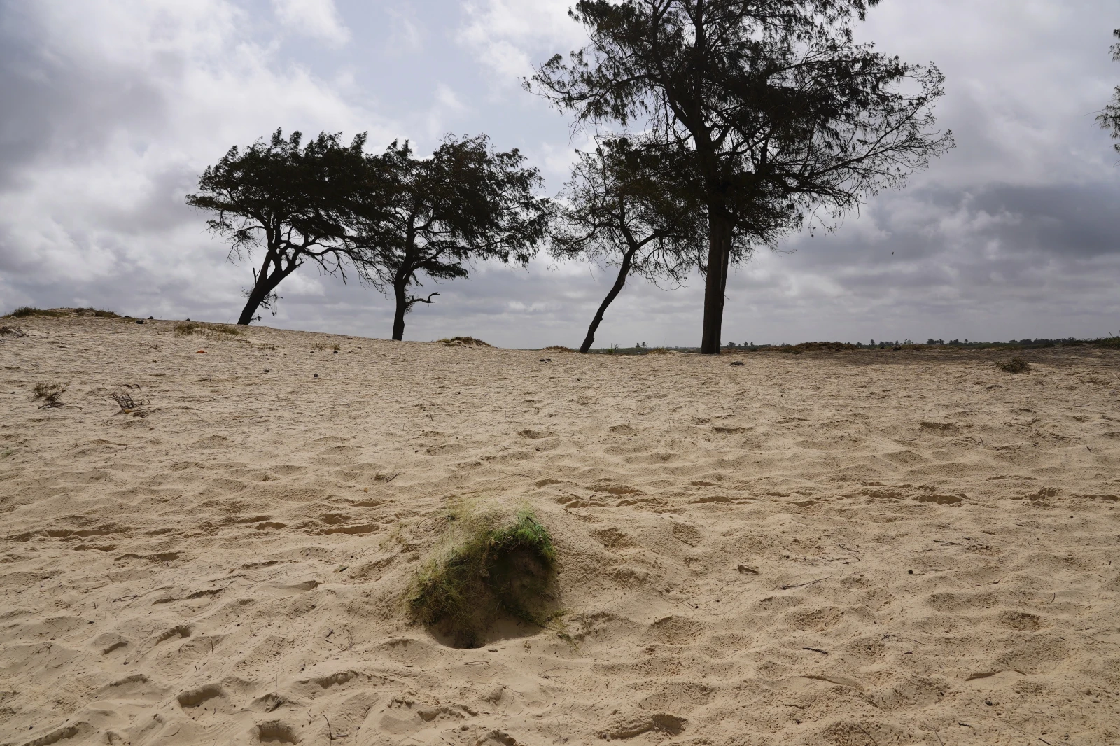 You are currently viewing Unmarked Senegal beach graves hold untold number of West African migrants, officials and locals say