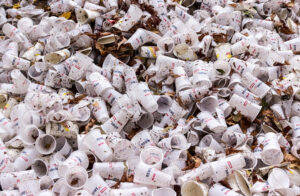Read more about the article Paper cups no better than plastic: Research exposes hidden toxicity