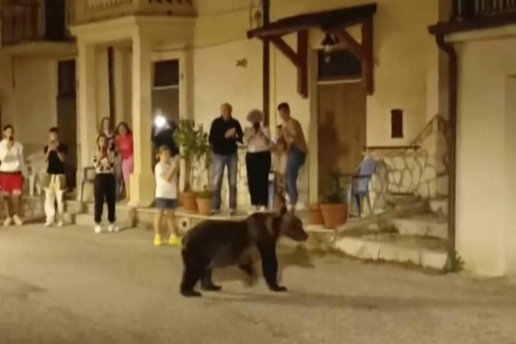 You are currently viewing Outrage as mother of biscuit-stealing bear cub shot dead in Italy