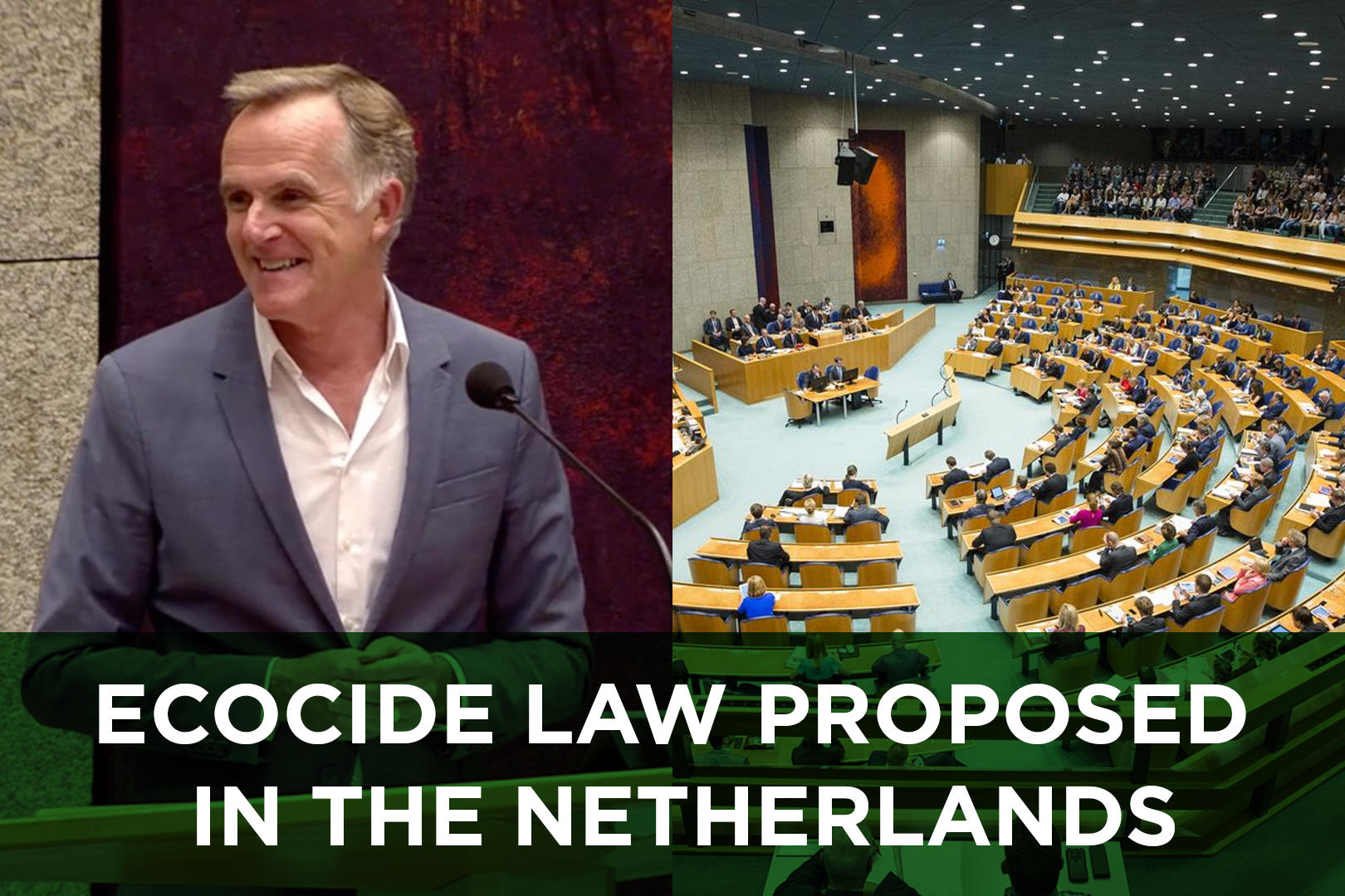 You are currently viewing Ecocide law proposed in The Netherlands