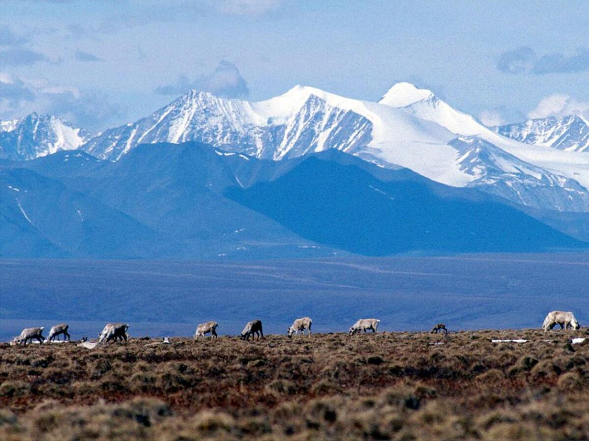 You are currently viewing Biden administration cancels remaining oil and gas leases in Alaska’s Arctic Refuge