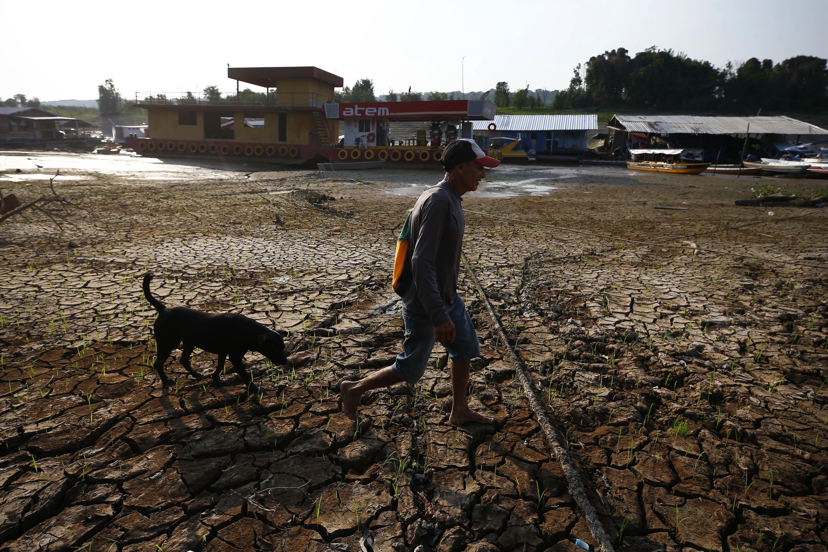 You are currently viewing ‘Without water, there is no life’: Drought in Brazil’s Amazon is sharpening fears for the future