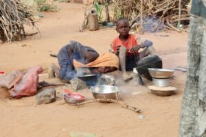Read more about the article WFP warns food aid for 1.4 million people in Chad ‘grinding to a halt’