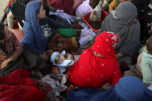 Read more about the article Women This Week: Aid Cuts Disproportionately Affect Women-Led Households in Afghanistan