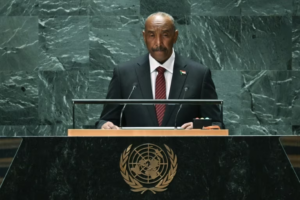Read more about the article UN Security Council Puts End To Mission In Sudan