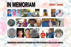 Read more about the article In Memoriam: Remembering 77 Indigenous Defenders Who Were Murdered in 2023 in Latin America