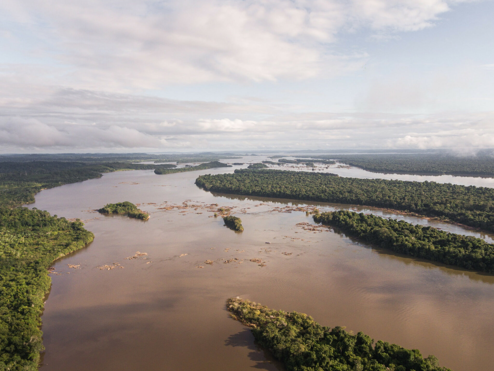 You are currently viewing Belo Sun Mining Seeks to Criminalize Amazon Defenders