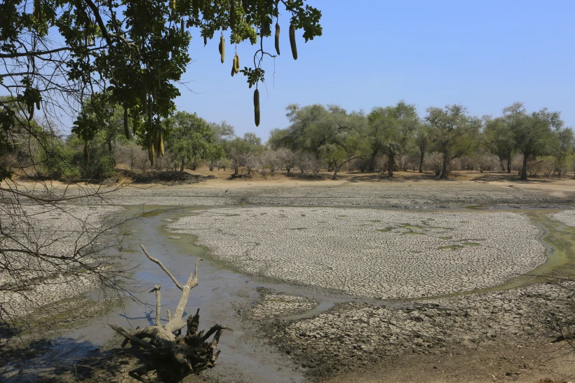 You are currently viewing Malawi follows Zambia in declaring drought disaster as El Niño brings hunger to southern Africa