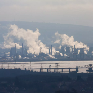 Read more about the article Scottish Government backs ‘ecocide law’ which could see company bosses jailed for environmental destruction