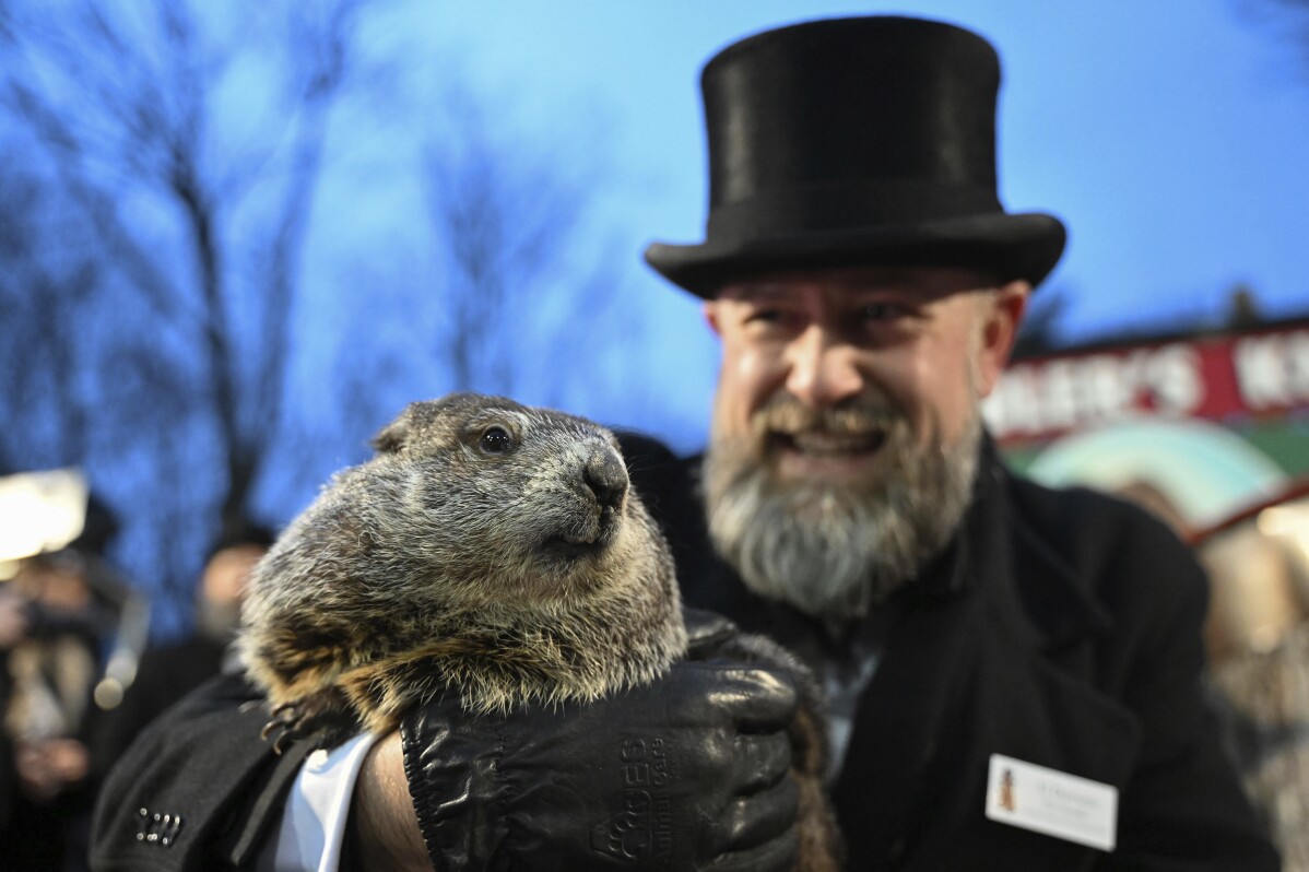 You are currently viewing Punxsutawney Phil, the spring-predicting groundhog, and wife Phyllis are parents of 2 babies