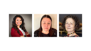 Read more about the article Personal and Tribal Efforts In Search of Justice for Missing and Murdered Indigenous Women, Girls, 2SLGBTQQIA+ People (Webinar)
