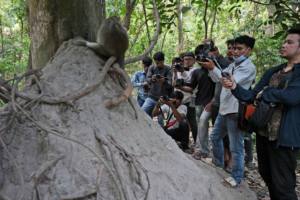 Read more about the article Cruelty for clicks: Cambodia is investigating YouTubers’ abuse of monkeys at the Angkor UNESCO site