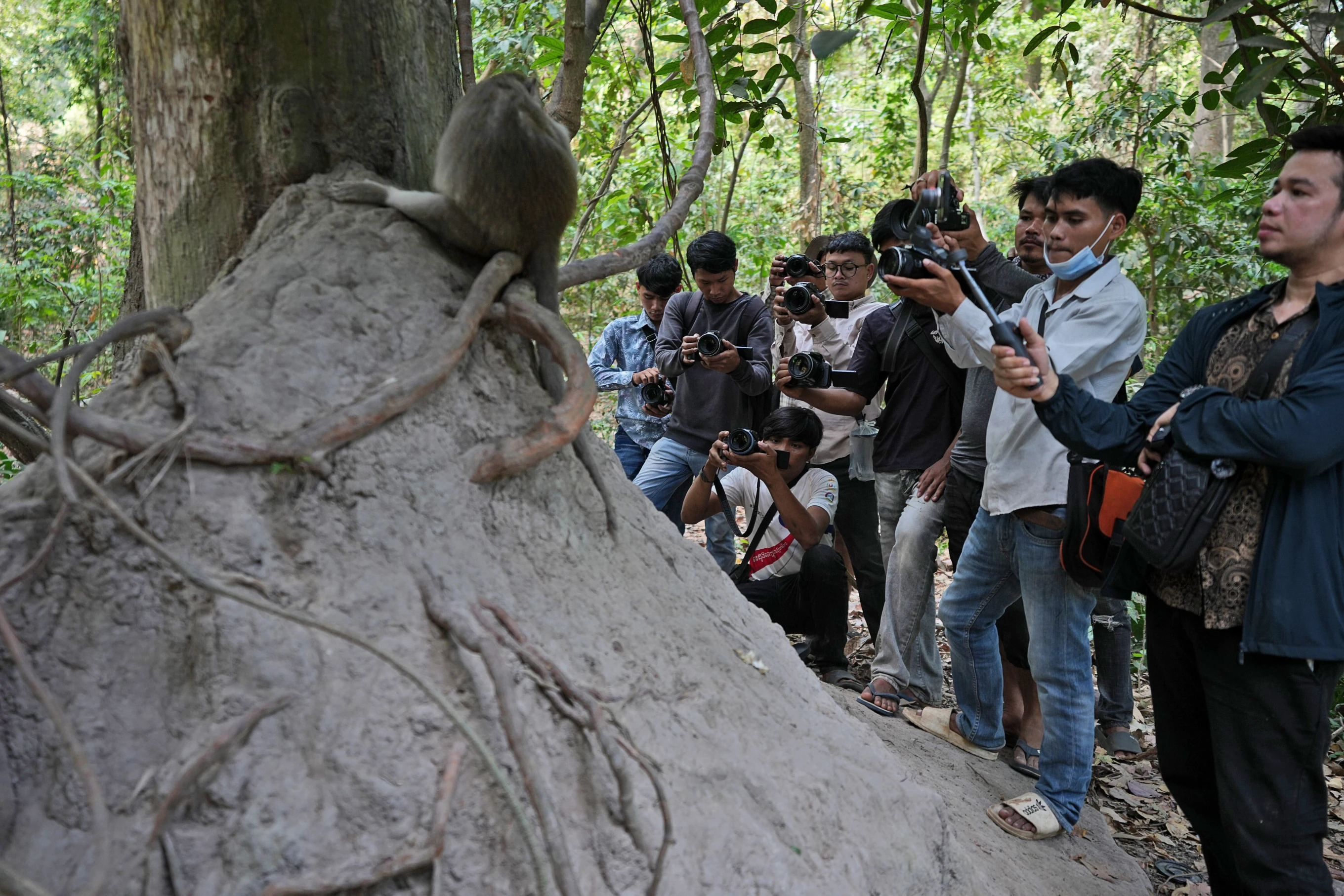 You are currently viewing Cruelty for clicks: Cambodia is investigating YouTubers’ abuse of monkeys at the Angkor UNESCO site