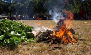 Read more about the article Strength From Grief: How Aboriginal People Experience the Bushfire Crisis