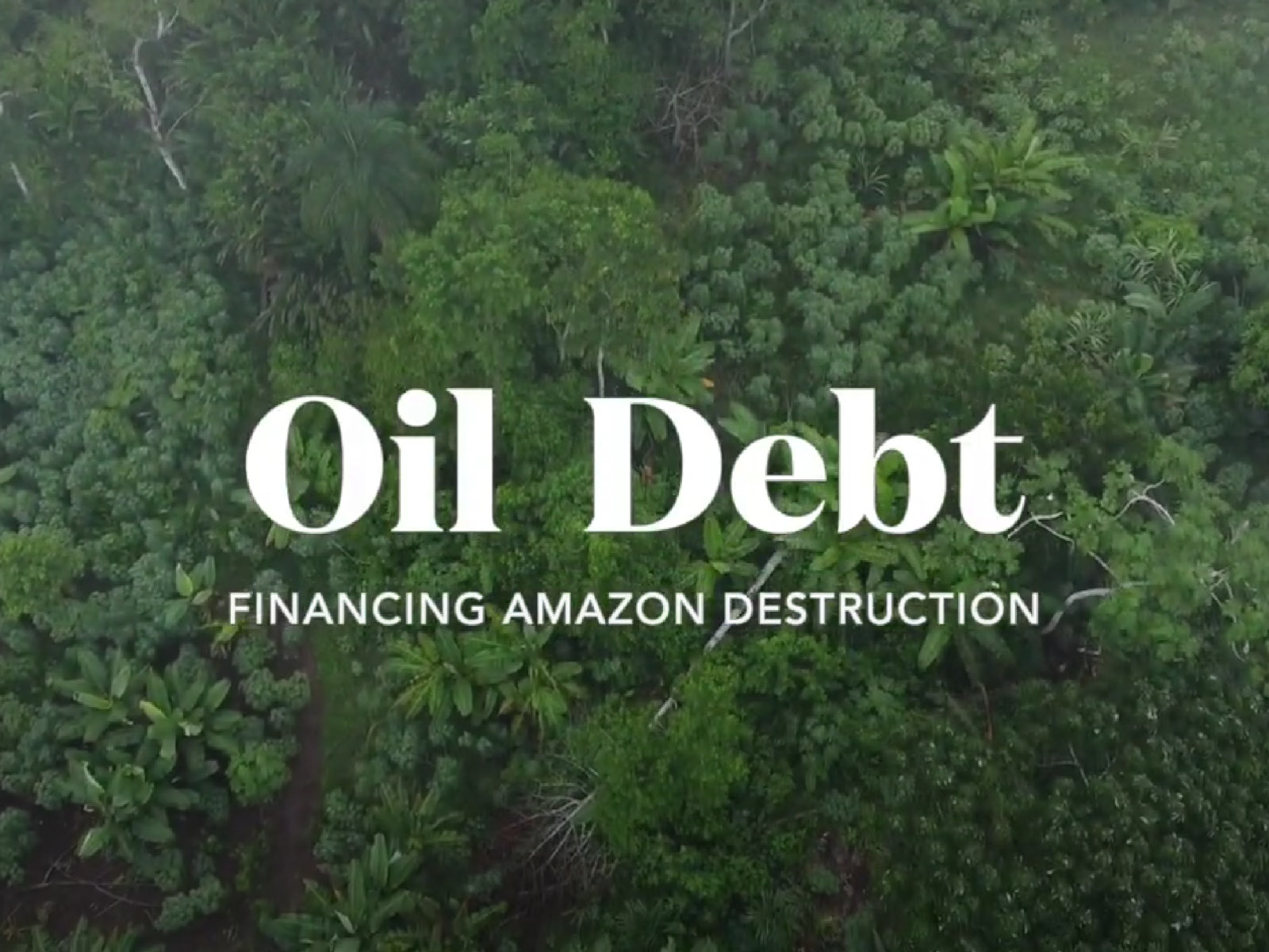 You are currently viewing Oil Debt: Financing Amazon Destruction