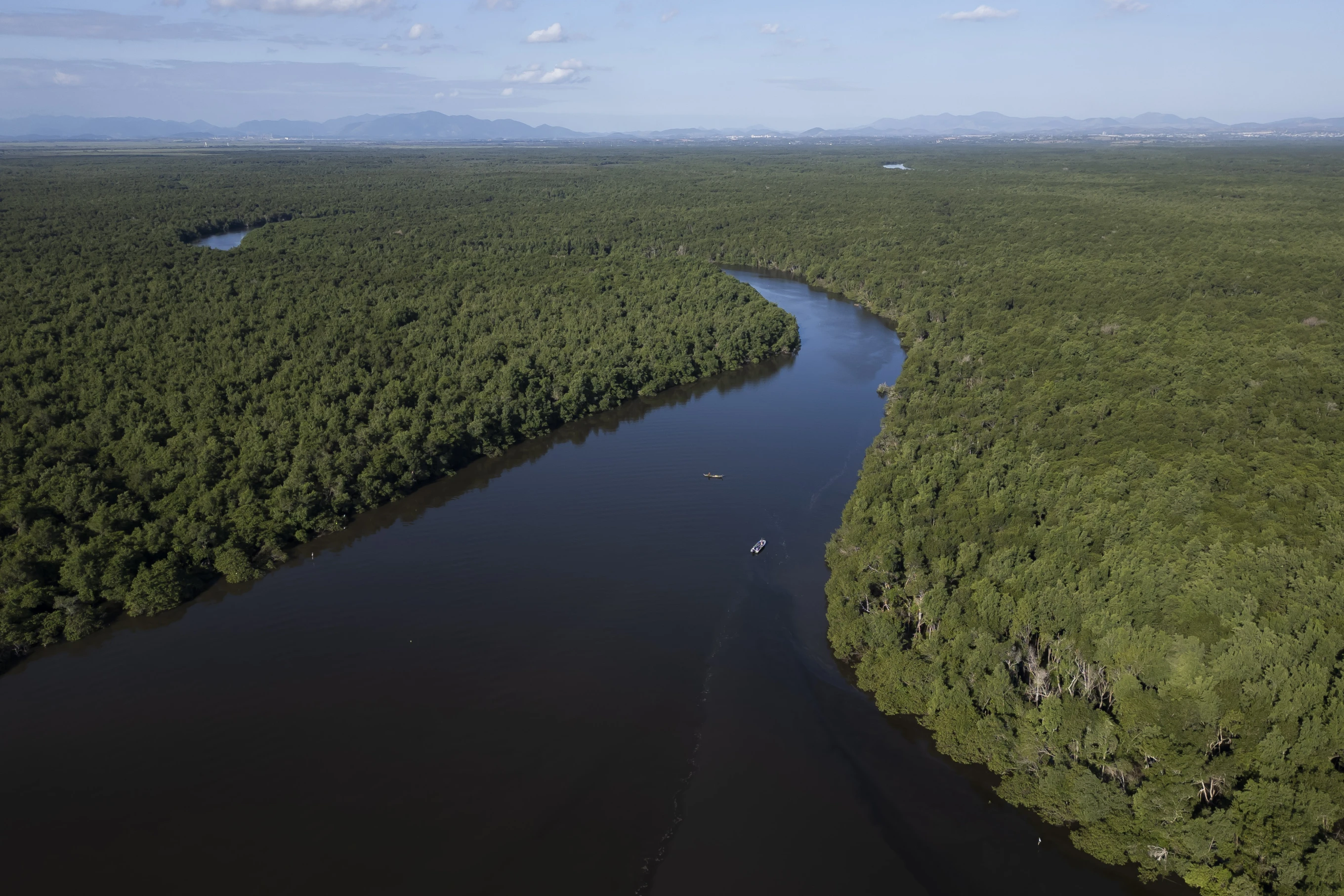 You are currently viewing Rio de Janeiro bay reforestation shows mangroves’ power to mitigate climate disasters