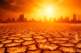 Read more about the article Heatwaves cause over 150,000 deaths worldwide annually