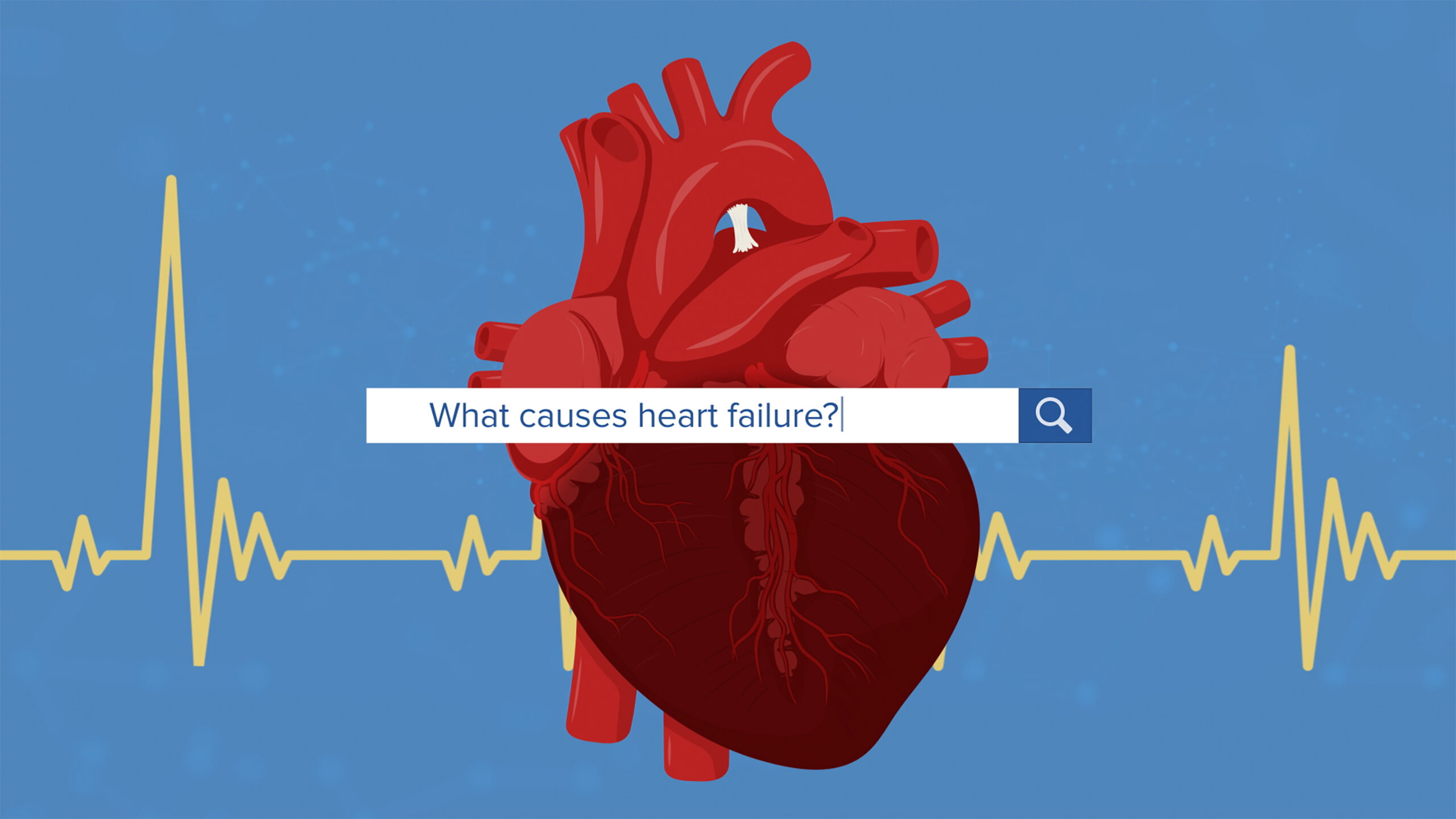 You are currently viewing Cause of increase in heart failure deaths investigated