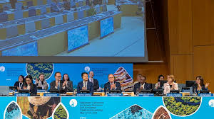 You are currently viewing WIPO Member States Adopt Historic New Treaty on Intellectual Property, Genetic Resources and Associated Traditional Knowledge