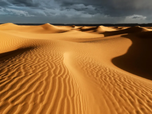 Read more about the article What Really Turned the Sahara Desert From a Green Oasis Into a Wasteland?