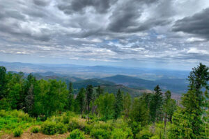Read more about the article Celebrating the Gila Wilderness’ 100th birthday!