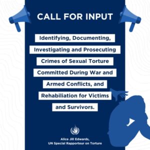 Read more about the article Identifying, Documenting, Investigating and Prosecuting Crimes of Sexual Torture Committed during War and Armed Conflicts, and Rehabilitation for Victims and Survivors