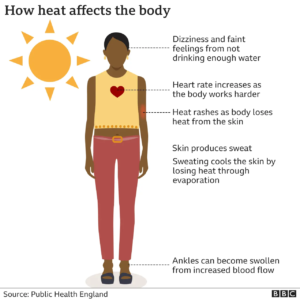 Read more about the article Effects of hot weather on the body