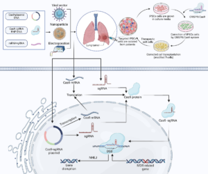 Read more about the article Bridge editing may surpass CRISPR in DNA alteration