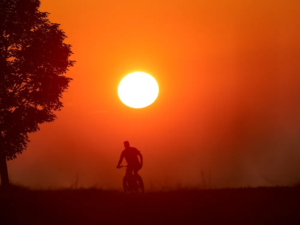 Read more about the article Earth Reached Its Hottest Day on Record Twice in a Row This Week