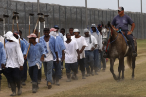 Read more about the article Prisoners fight against working in heat on former slave plantation, raising hope for change in South