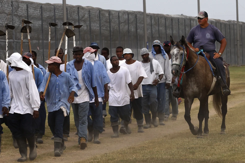 You are currently viewing Prisoners fight against working in heat on former slave plantation, raising hope for change in South