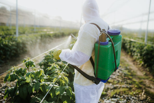 You are currently viewing Pesticides can raise cancer risk like smoking