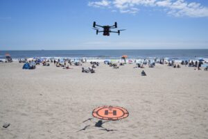 Read more about the article On NYC beaches, angry birds fight drones patrolling for sharks and struggling swimmers