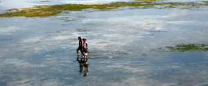 Read more about the article Explainer: How gender inequality and climate change are interconnected