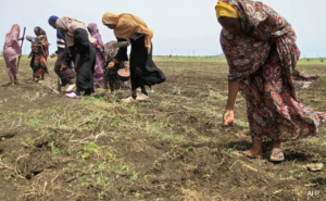 Read more about the article Women in war-torn Sudanese city forced to have sex in exchange for food: Report