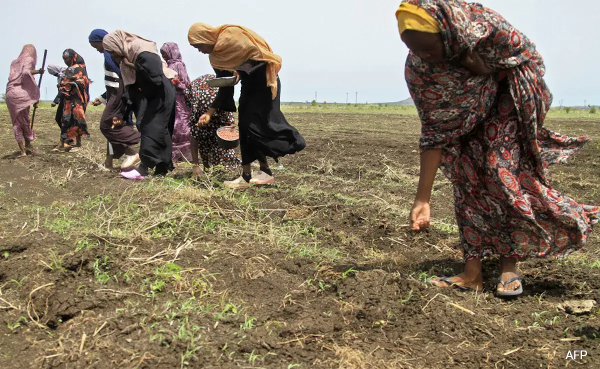 You are currently viewing Women in war-torn Sudanese city forced to have sex in exchange for food: Report