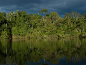 Read more about the article Rainforest Reckoning: Almost a Year After the Historic Yasuní Vote, Ecuador Has Done Very Little to Decommission Drilling