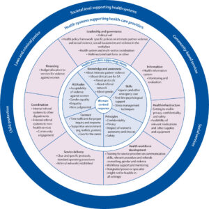 Read more about the article Community-Level Mental Health Interventions Could Help Prevent Femicide