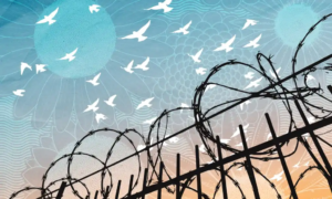 Read more about the article Murmurations: The Wisdom Behind Prison Walls