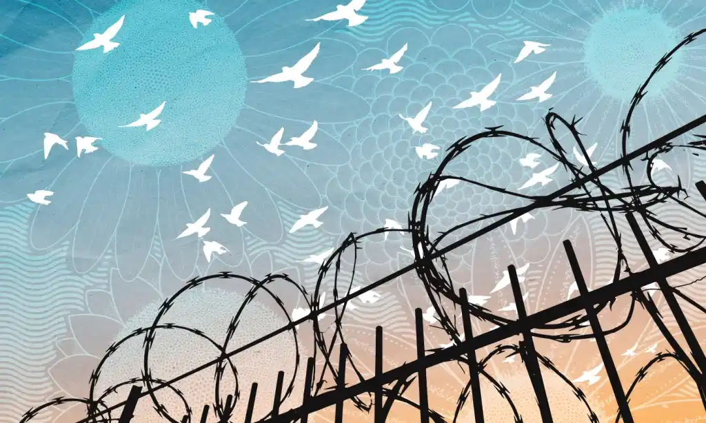 You are currently viewing Murmurations: The Wisdom Behind Prison Walls