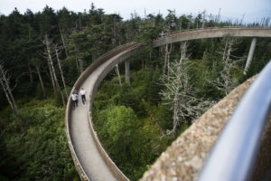 Read more about the article The Smoky Mountains’ highest peak is reverting to the Cherokee name Kuwohi