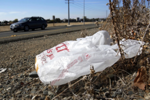 Read more about the article California governor signs law banning all plastic shopping bags at grocery stores