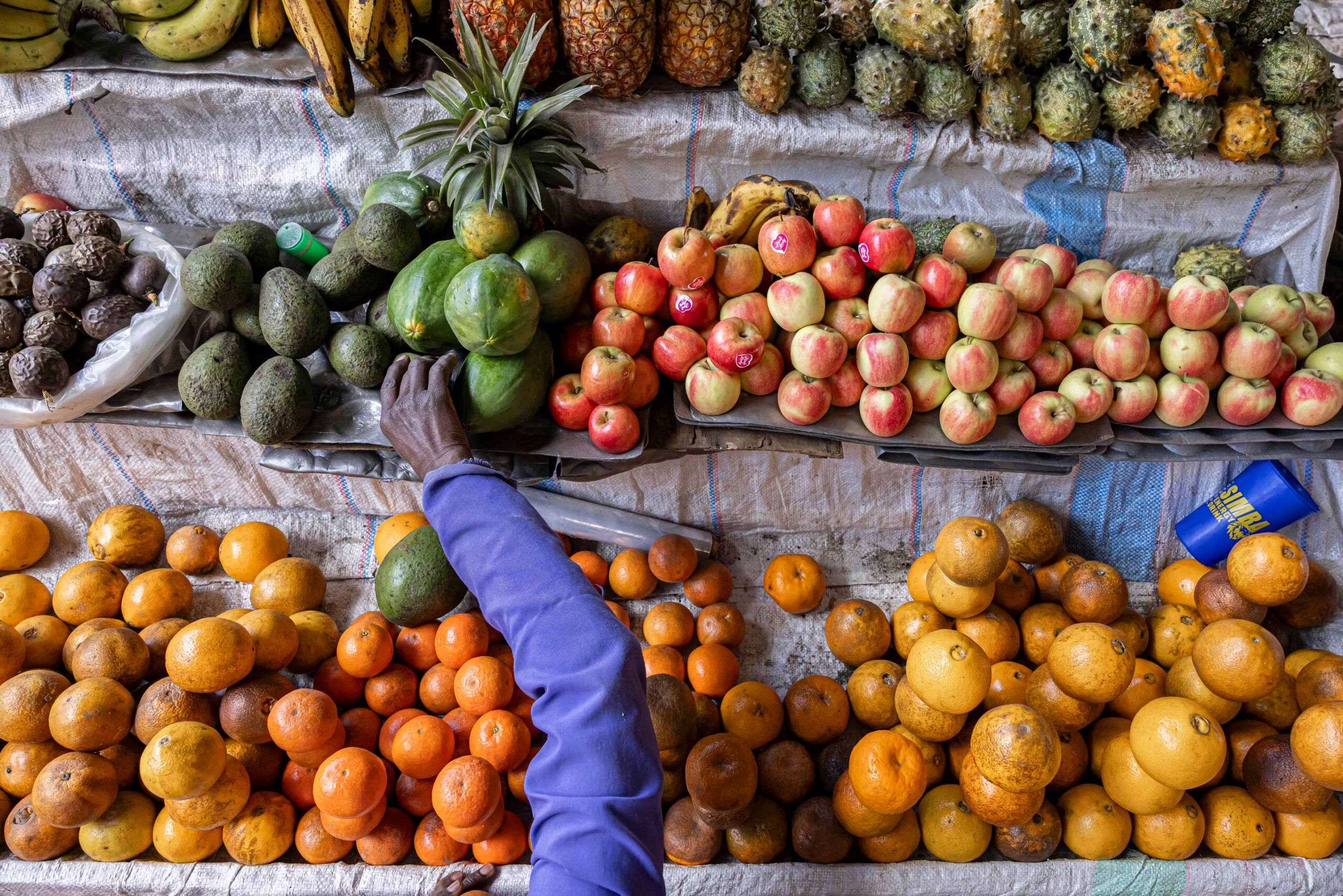 You are currently viewing The Race to Nourish a Warming World