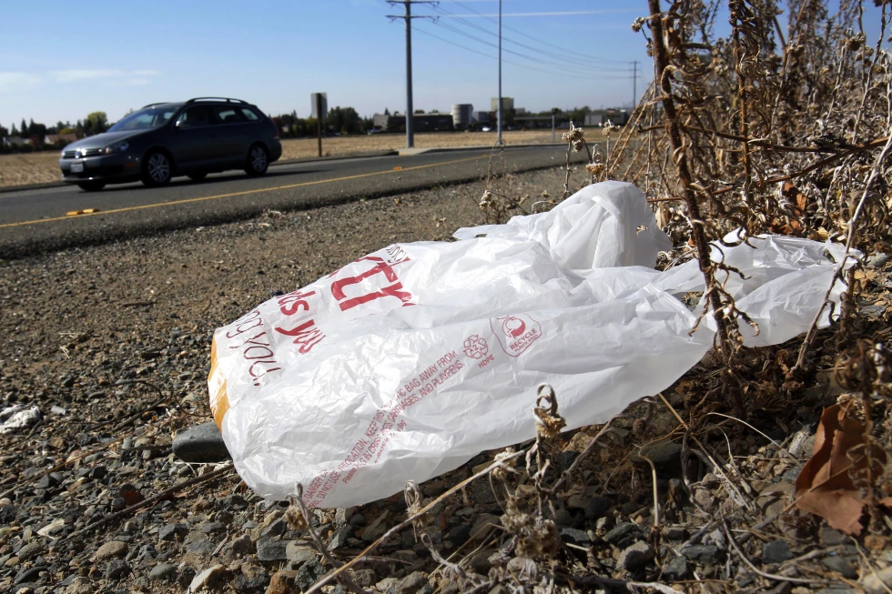 You are currently viewing California governor signs law banning all plastic shopping bags at grocery stores