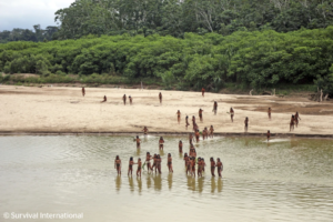 Read more about the article A remote Indigenous tribe kills two loggers encroaching on their land in Peru