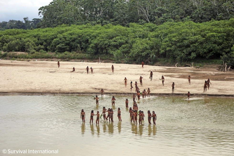 You are currently viewing A remote Indigenous tribe kills two loggers encroaching on their land in Peru