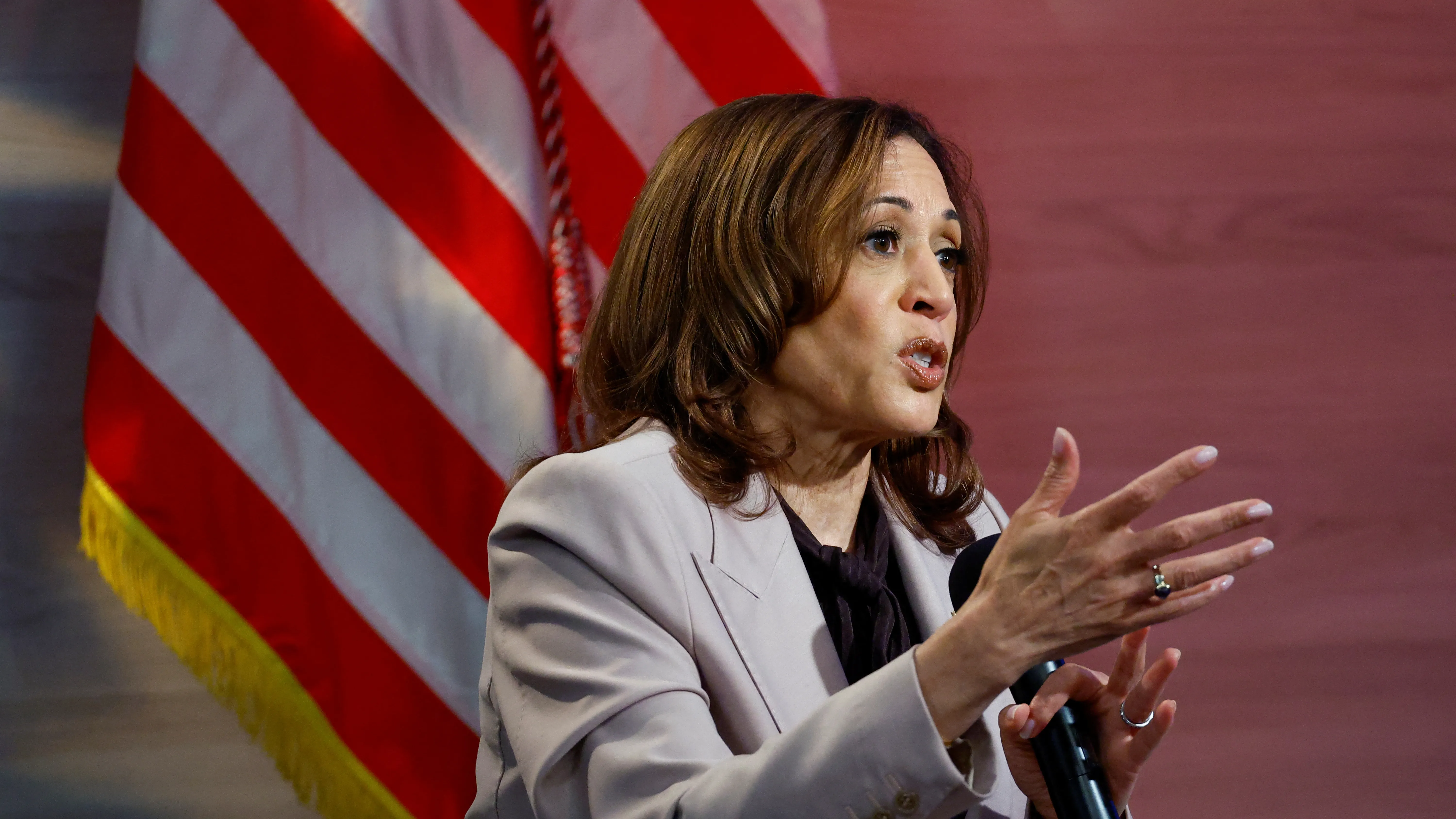 You are currently viewing Kamala Harris said reparations are a task for Congress | Fact check