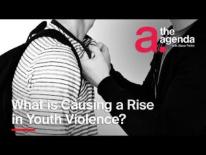 Read more about the article What is Causing a Rise in Youth Violence? | The Agenda