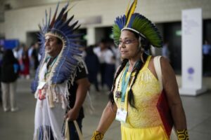 Read more about the article At U.N. summit, historic agreement to give Indigenous groups voice on nature conservation decisions