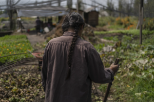 Read more about the article Mexico City’s floating gardens have fed people for hundreds of years. Now they’re threatened